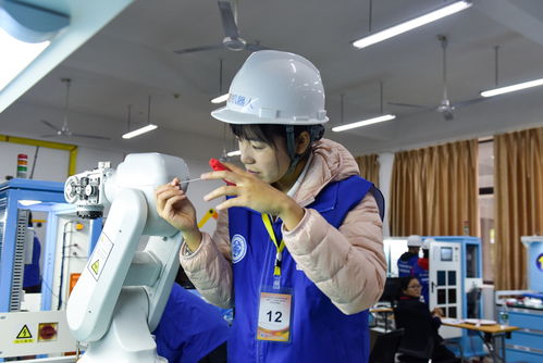 2019年博諾杯工業(yè)機(jī)器人維修調(diào)試與技術(shù)應(yīng)用賽項在我校開賽